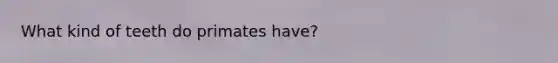 What kind of teeth do primates have?