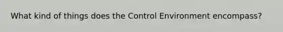 What kind of things does the Control Environment encompass?