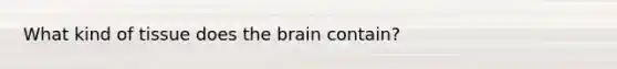 What kind of tissue does the brain contain?