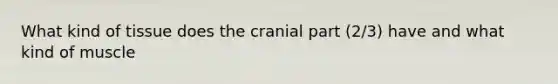 What kind of tissue does the cranial part (2/3) have and what kind of muscle