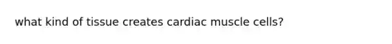 what kind of tissue creates cardiac muscle cells?