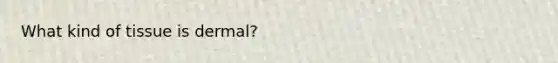 What kind of tissue is dermal?