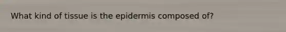 What kind of tissue is the epidermis composed of?