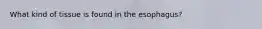 What kind of tissue is found in the esophagus?