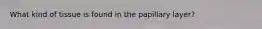 What kind of tissue is found in the papillary layer?