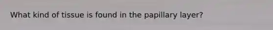 What kind of tissue is found in the papillary layer?