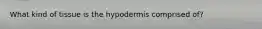 What kind of tissue is the hypodermis comprised of?