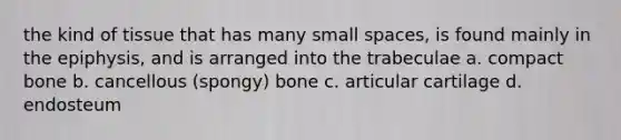 the kind of tissue that has many small spaces, is found mainly in the epiphysis, and is arranged into the trabeculae a. compact bone b. cancellous (spongy) bone c. articular cartilage d. endosteum