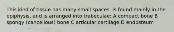 This kind of tissue has many small spaces, is found mainly in the epiphysis, and is arranged into trabeculae: A compact bone B spongy (cancellous) bone C articular cartilage D endosteum