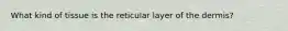 What kind of tissue is the reticular layer of the dermis?