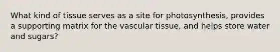 What kind of tissue serves as a site for photosynthesis, provides a supporting matrix for the vascular tissue, and helps store water and sugars?