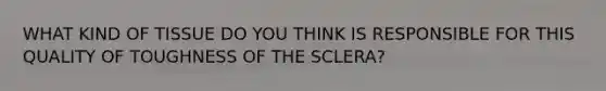 WHAT KIND OF TISSUE DO YOU THINK IS RESPONSIBLE FOR THIS QUALITY OF TOUGHNESS OF THE SCLERA?