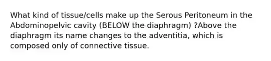 What kind of tissue/cells make up the Serous Peritoneum in the Abdominopelvic cavity (BELOW the diaphragm) ?Above the diaphragm its name changes to the adventitia, which is composed only of connective tissue.