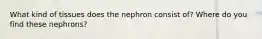 What kind of tissues does the nephron consist of? Where do you find these nephrons?