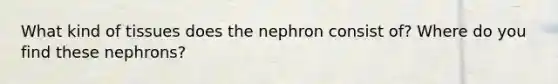 What kind of tissues does the nephron consist of? Where do you find these nephrons?