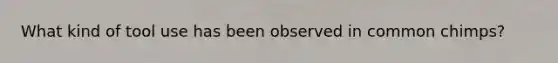 What kind of tool use has been observed in common chimps?