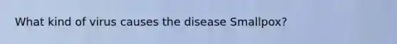 What kind of virus causes the disease Smallpox?