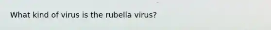 What kind of virus is the rubella virus?