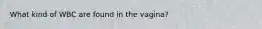 What kind of WBC are found in the vagina?