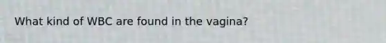 What kind of WBC are found in the vagina?