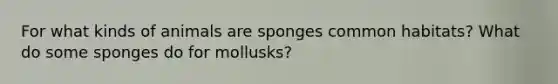 For what kinds of animals are sponges common habitats? What do some sponges do for mollusks?