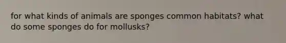 for what kinds of animals are sponges common habitats? what do some sponges do for mollusks?