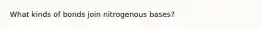 What kinds of bonds join nitrogenous bases?