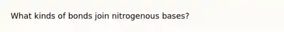 What kinds of bonds join nitrogenous bases?