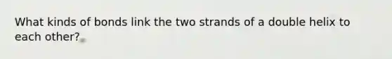 What kinds of bonds link the two strands of a double helix to each other?