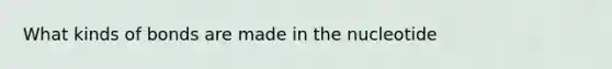 What kinds of bonds are made in the nucleotide