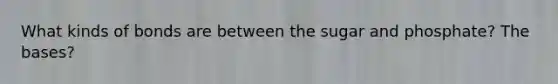 What kinds of bonds are between the sugar and phosphate? The bases?