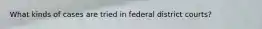 What kinds of cases are tried in federal district courts?