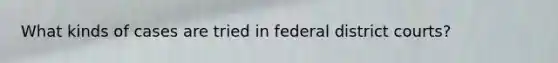What kinds of cases are tried in federal district courts?