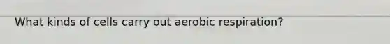 What kinds of cells carry out aerobic respiration?