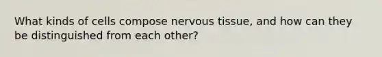 What kinds of cells compose nervous tissue, and how can they be distinguished from each other?