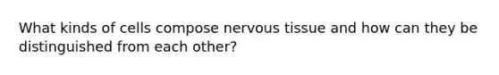 What kinds of cells compose <a href='https://www.questionai.com/knowledge/kqA5Ws88nP-nervous-tissue' class='anchor-knowledge'>nervous tissue</a> and how can they be distinguished from each other?