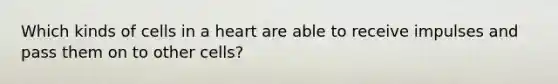 Which kinds of cells in a heart are able to receive impulses and pass them on to other cells?