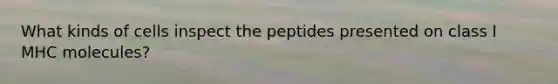 What kinds of cells inspect the peptides presented on class I MHC molecules?