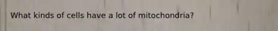 What kinds of cells have a lot of mitochondria?