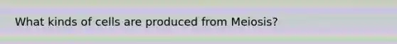 What kinds of cells are produced from Meiosis?