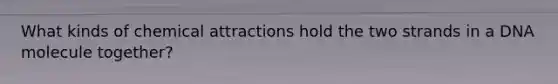 What kinds of chemical attractions hold the two strands in a DNA molecule together?