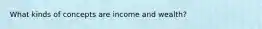 What kinds of concepts are income and wealth?