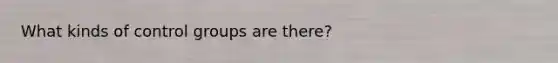 What kinds of control groups are there?