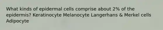 What kinds of epidermal cells comprise about 2% of <a href='https://www.questionai.com/knowledge/kBFgQMpq6s-the-epidermis' class='anchor-knowledge'>the epidermis</a>? Keratinocyte Melanocyte Langerhans & Merkel cells Adipocyte