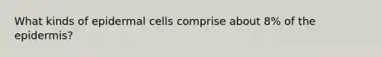 What kinds of epidermal cells comprise about 8% of the epidermis?