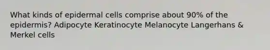 What kinds of epidermal cells comprise about 90% of <a href='https://www.questionai.com/knowledge/kBFgQMpq6s-the-epidermis' class='anchor-knowledge'>the epidermis</a>? Adipocyte Keratinocyte Melanocyte Langerhans & Merkel cells