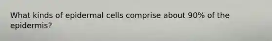 What kinds of epidermal cells comprise about 90% of the epidermis?