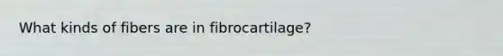 What kinds of fibers are in fibrocartilage?