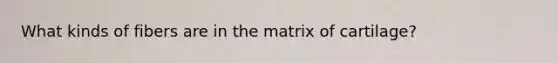 What kinds of fibers are in the matrix of cartilage?