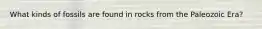 What kinds of fossils are found in rocks from the Paleozoic Era?